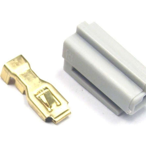 AAW500204.jpg