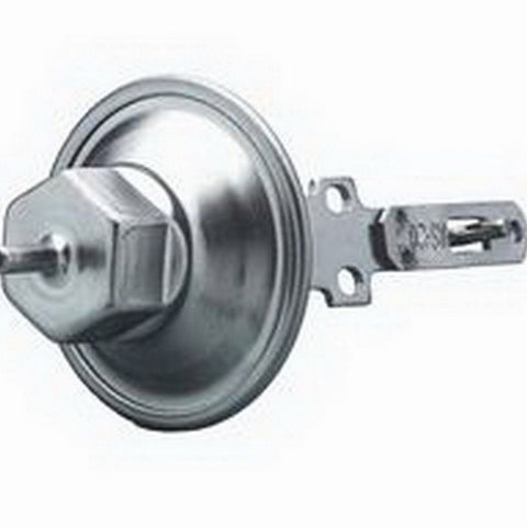 ACL31035.jpg