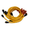 ACL4042.jpg