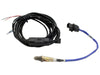 AEM30-0310.jpg