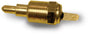 AFC85286.jpg