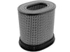 AFE21-91061.jpg