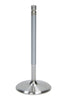 AFR7626-1.jpg