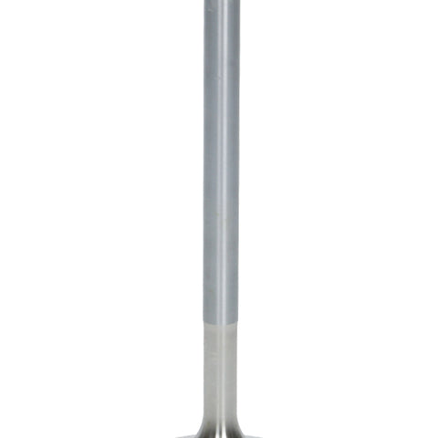AFR7631-1.jpg