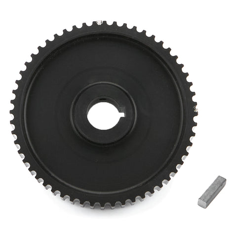 AFS21116.jpg