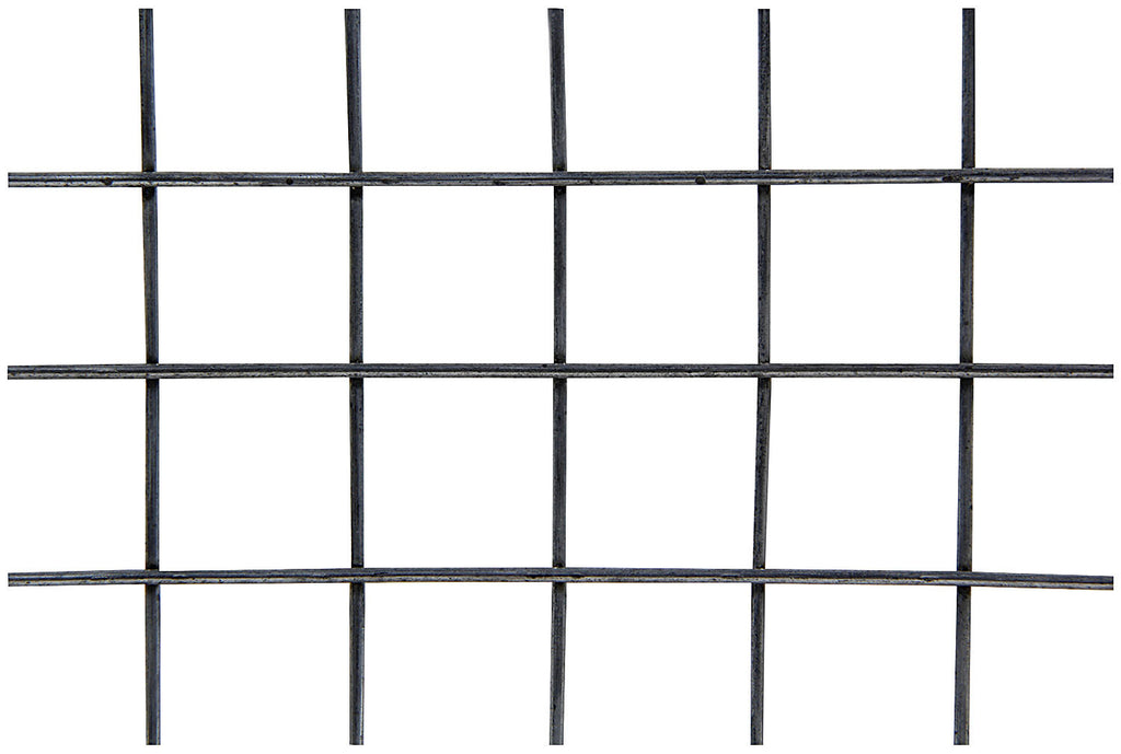 ALL22276.jpg