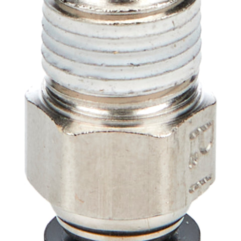 ALL48020.jpg