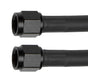 ALL48355.jpg