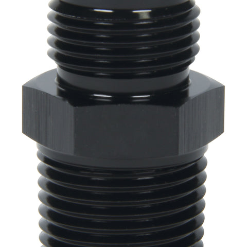 ALL49506.jpg