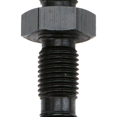 ALL49611.jpg