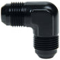 ALL49723.jpg