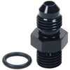 ALL49831.jpg