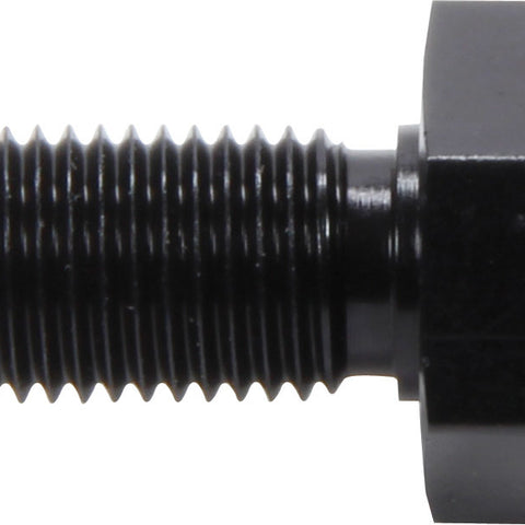 ALL50092-10.jpg