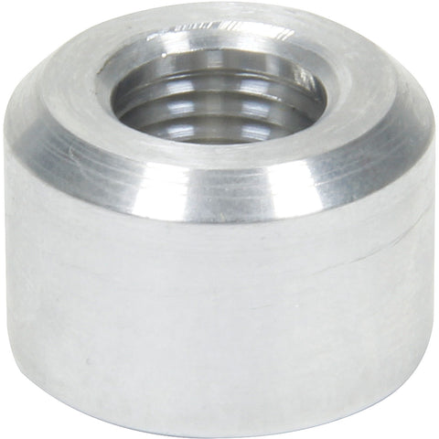 ALL50740.jpg