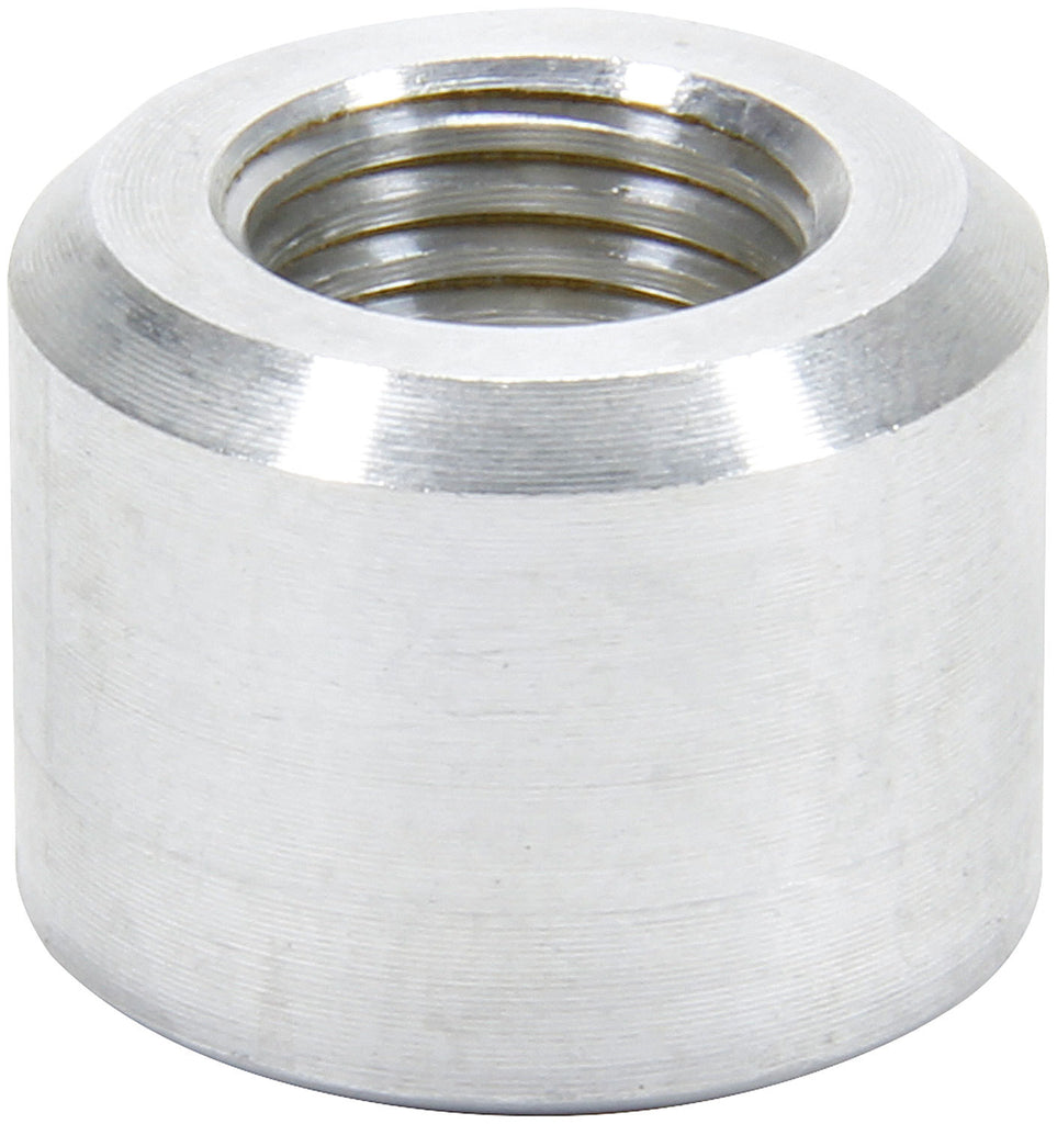 ALL50781.jpg