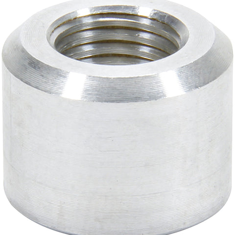 ALL50782.jpg