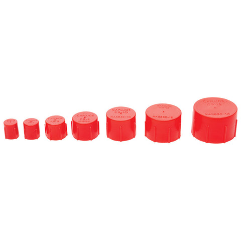 ALL50800.jpg