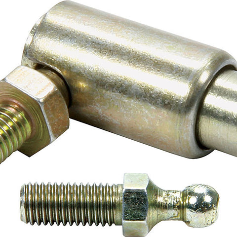 ALL54147.jpg