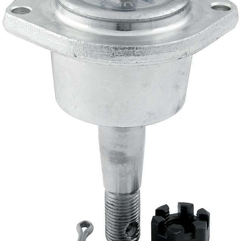ALL56018.jpg