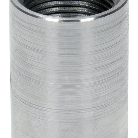 ALL56073-10.jpg