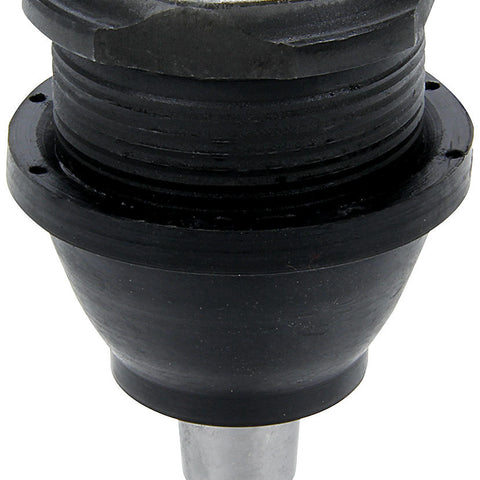 ALL56214-10.jpg