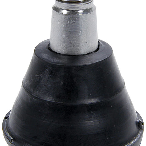 ALL56217-10.jpg