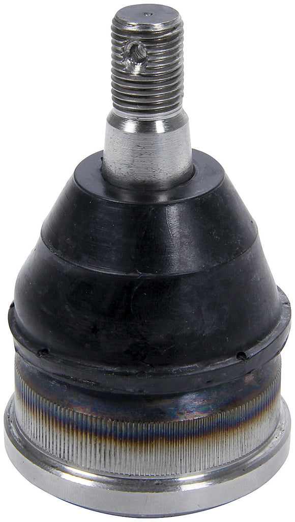 ALL56218-10.jpg