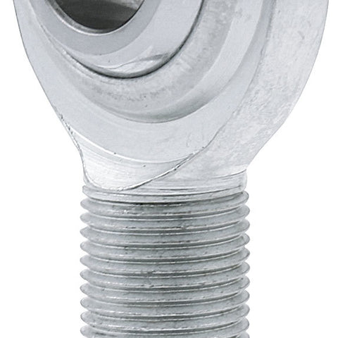 ALL58013-10.jpg