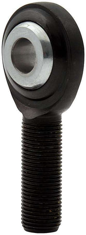 ALL58068-10.jpg