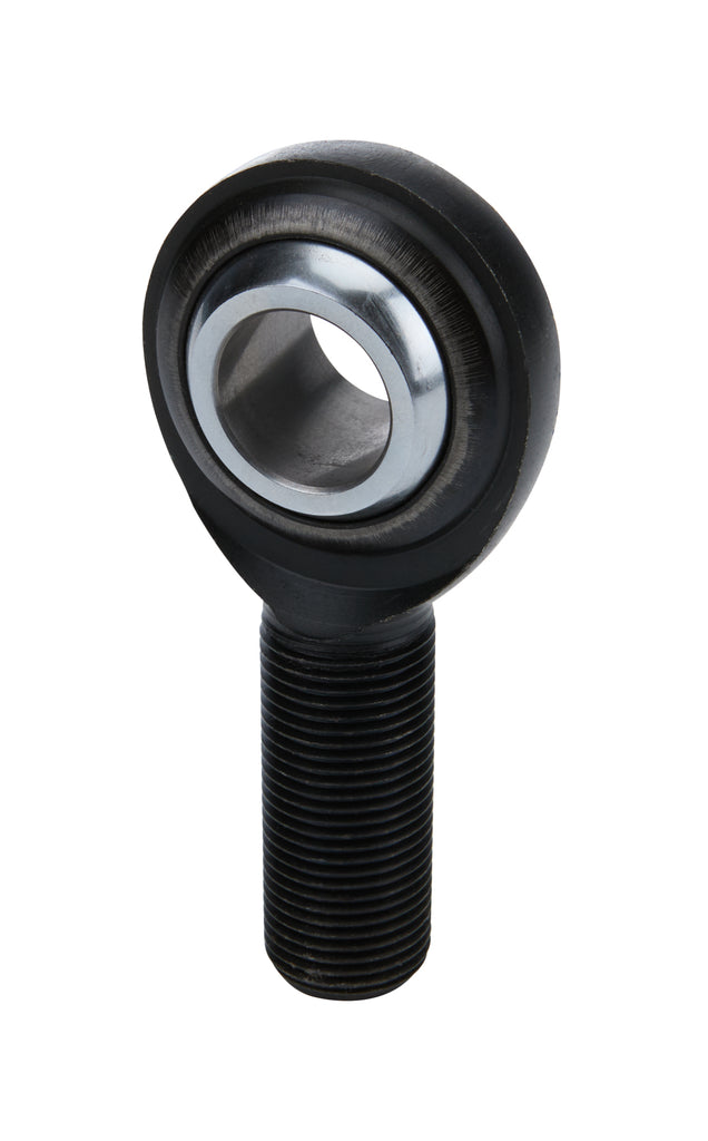 ALL58082.jpg