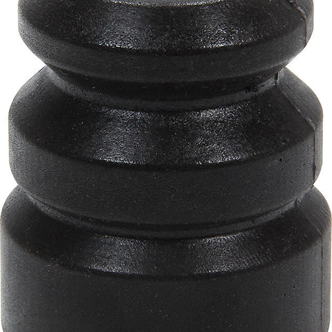 ALL64502.jpg