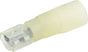 ALL76088.jpg
