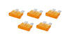 ALL76363.jpg