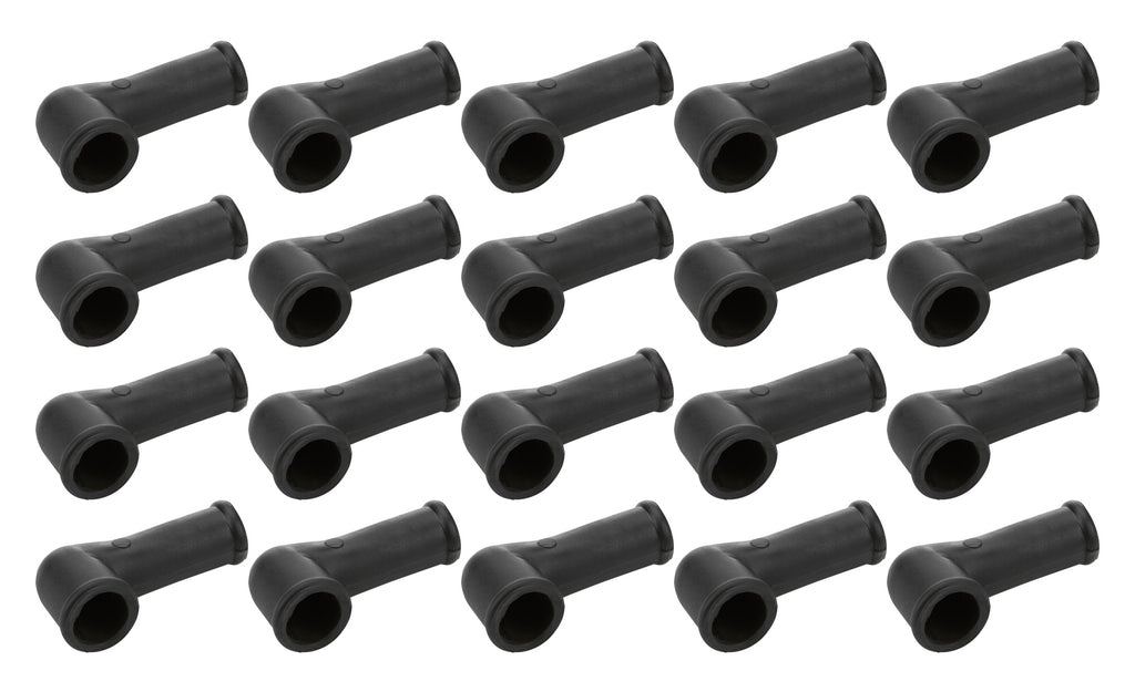 ALL99501.jpg
