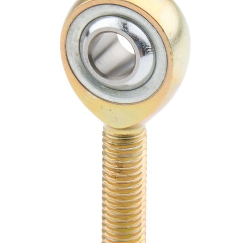 AURMM-M8.jpg