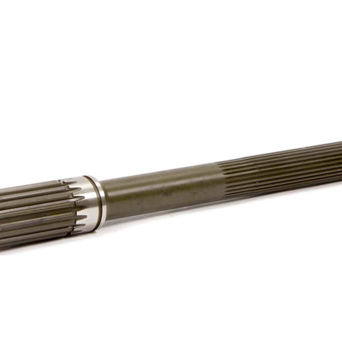BERSG-1302.jpg
