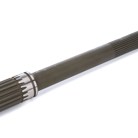 BERSG-1402.jpg