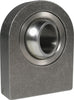 BRG670000.jpg