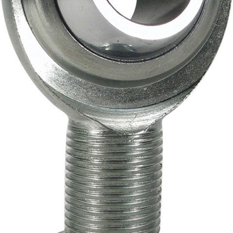 BRG700000.jpg
