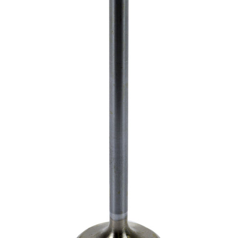 BROBR60154.jpg