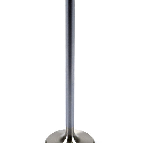 BROBR81645.jpg