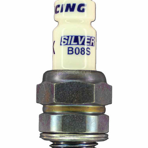 BSKB08S.jpg