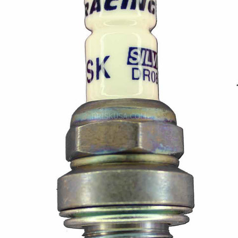 BSKDR08S.jpg