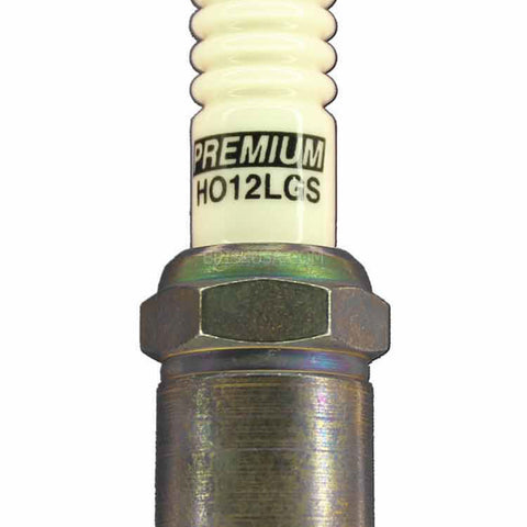 BSKHO12LGS.jpg
