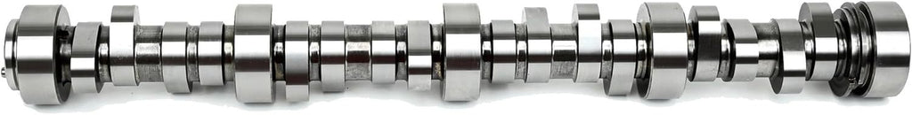 BTRBTR-2240006175.jpg