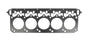 CAGC5107-045.jpg