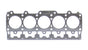CAGC5113-051.jpg