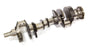 CALSAG143-CM.jpg