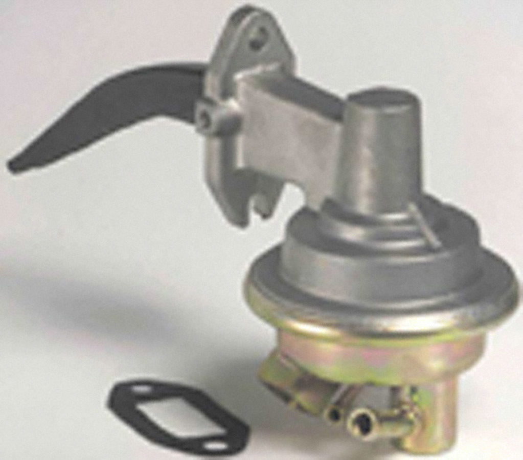 CARM6109.jpg