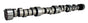 COM11-445-8.jpg